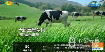 锋彩直播历史版本app合集