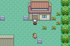 口袋妖怪究极绿宝石旧版本手游合集