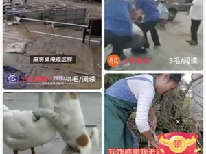 爱转短视频破解版app合集