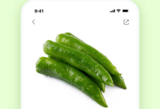 小众且精品的生鲜买菜app合集