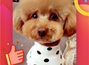 类似香蕉短视频的app合集