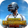 pubgmobile测试服
