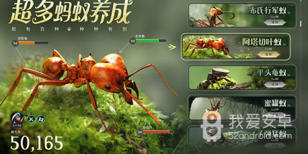 生存建造类沙盒手游合集