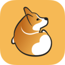 corgi极速版