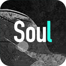 soul免封版