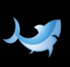 鲨鱼直播隐藏入口