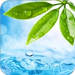 轻轻一点新版