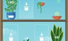 媚肉之香类似的手游排行榜