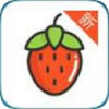 草莓tv无限看版