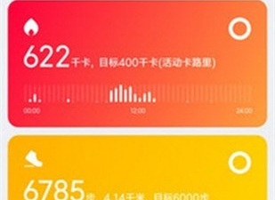 智能穿戴app合集