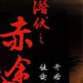 潜伏之赤途完整版
