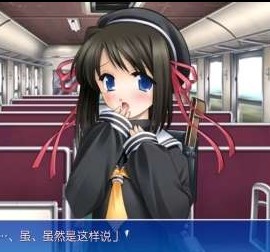 ons模拟器免费版