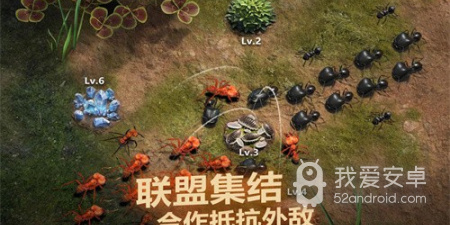 小小蚁国超全版本手游合集
