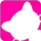 猫咪视频福利版