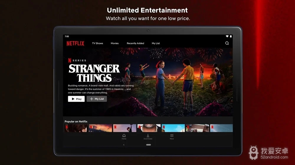 网飞netflix中文版