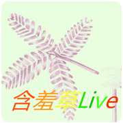 含羞草直播轻量版