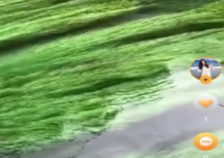 和野花短视频同款的app合集