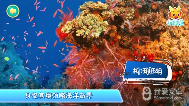 小伴龙海洋世界