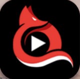 怏狐无限次数版