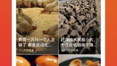 和火火小视频一样的app合集