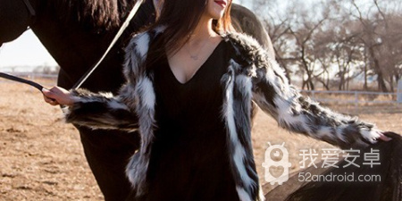 高质量聊天交友app合集