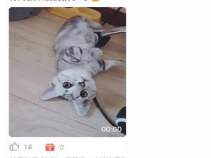 优物视频破解版app合集