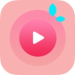 荔枝影视精品版