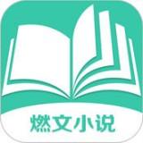 燃文小说无限资源版