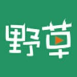 野草视频福利版