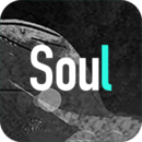 soul永久版
