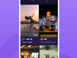 和多多小视频很像的app合集