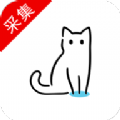 猫影视tv免费版