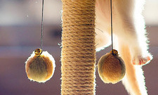 三通单职业传奇手游合集