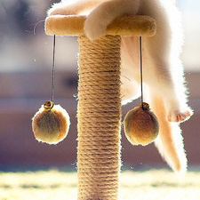 三通单职业传奇手游合集