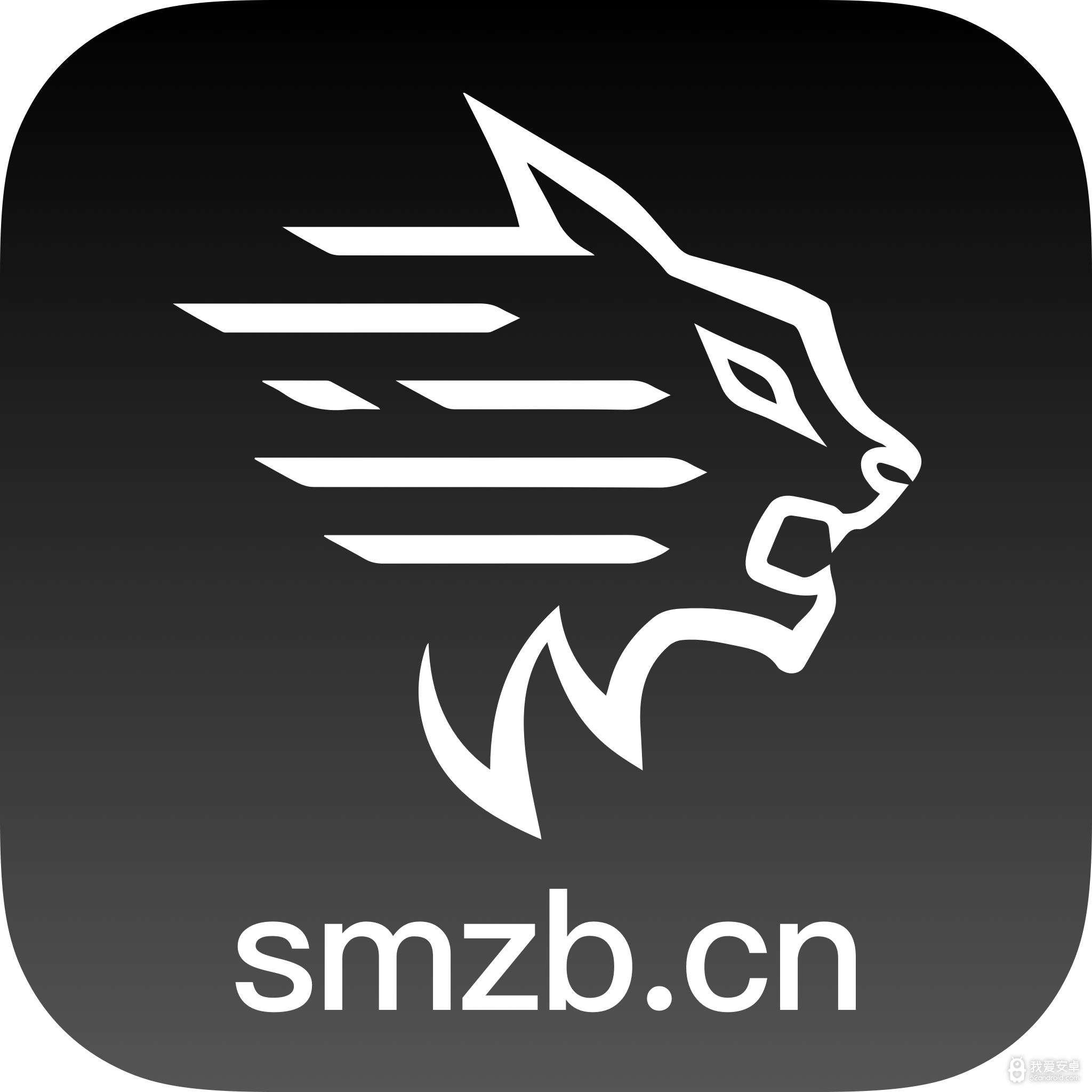 山猫直播无需验证版