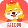 小房子宠物