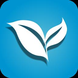 叶子视频免费完整版