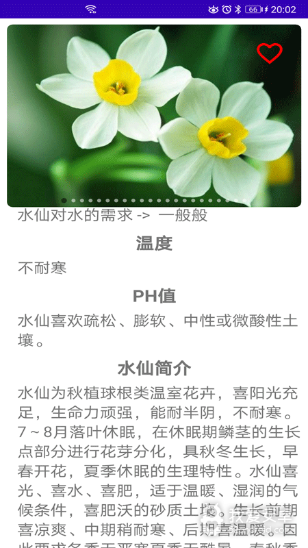 绿植花卉