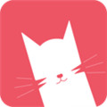 猫咪视频最新版本