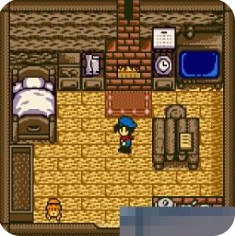 牧场物语小矮人版