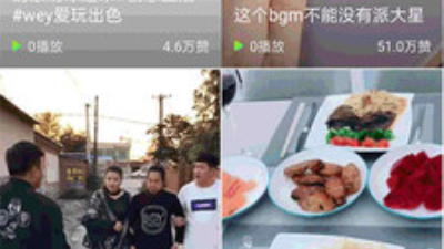 猫咪小视频app合集