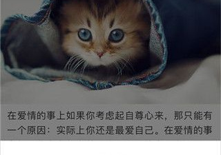 免费的交友婚恋app合集