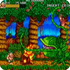 战斗原始人金手指版