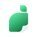 青柠设计破解版