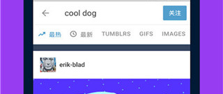 手机博客app合集
