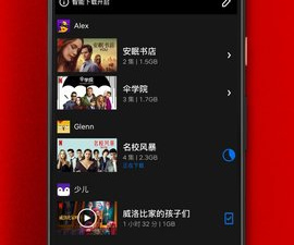 和netflix差不多的app合集