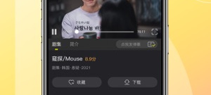 热门必备的韩剧TVapp合集