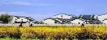 景点类软件合集