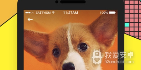 跟黄逗短视频一样的app合集