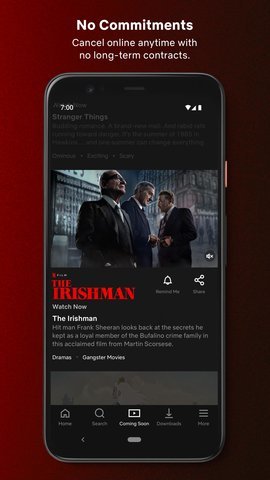 网飞netflix电视版